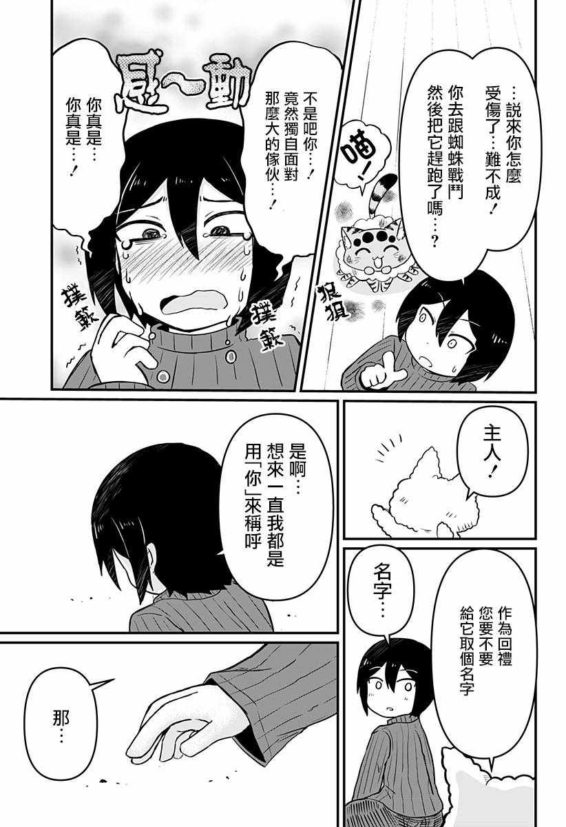 《阳台里来了一蜘猫》漫画 007集