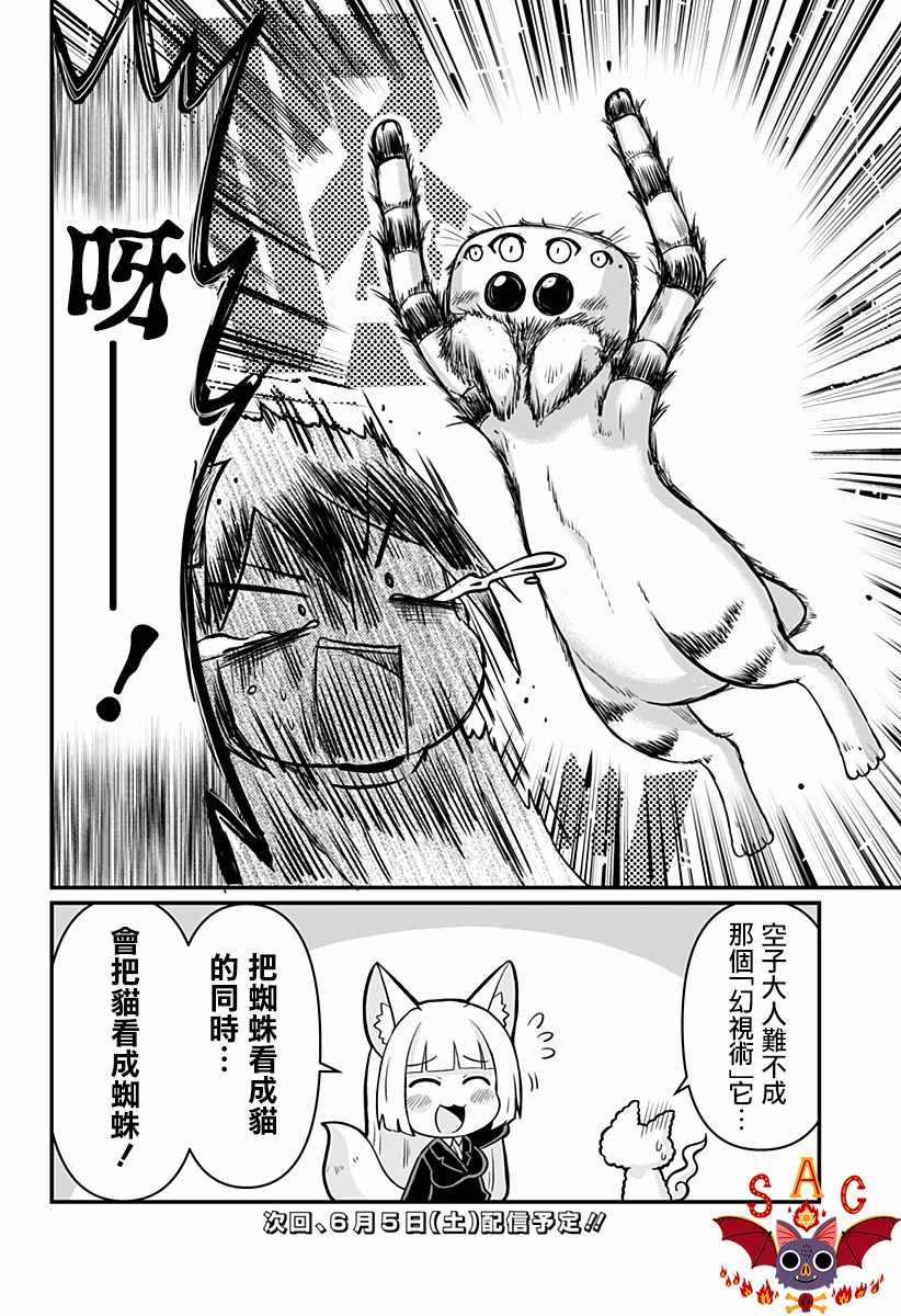 《阳台里来了一蜘猫》漫画 009集