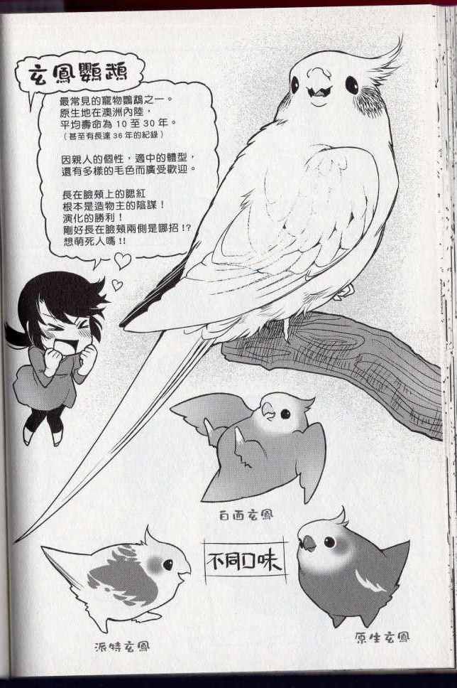 《bird 鸟相随》漫画 01卷