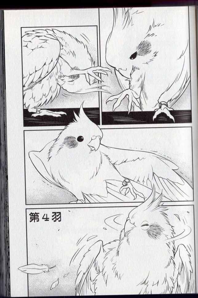 《bird 鸟相随》漫画 01卷