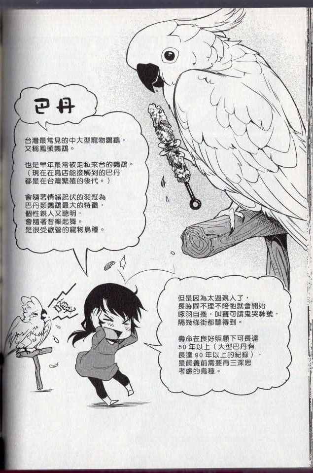 《bird 鸟相随》漫画 01卷