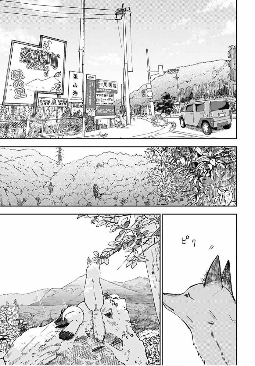 《与貍猫和狐貍的乡村生活》漫画 貍猫和狐貍 001集