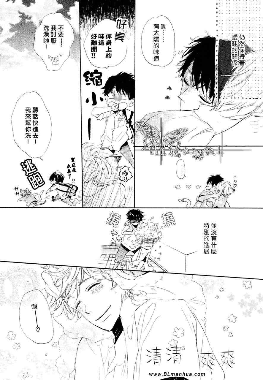 《猫新娘驾到》漫画 中篇