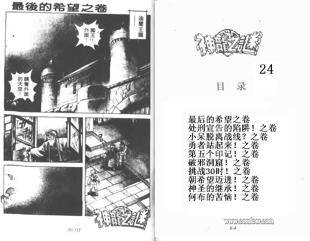 《神龙之谜》漫画 24卷