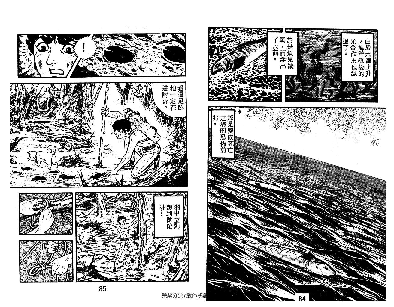 《陆地沉没记》漫画 13卷