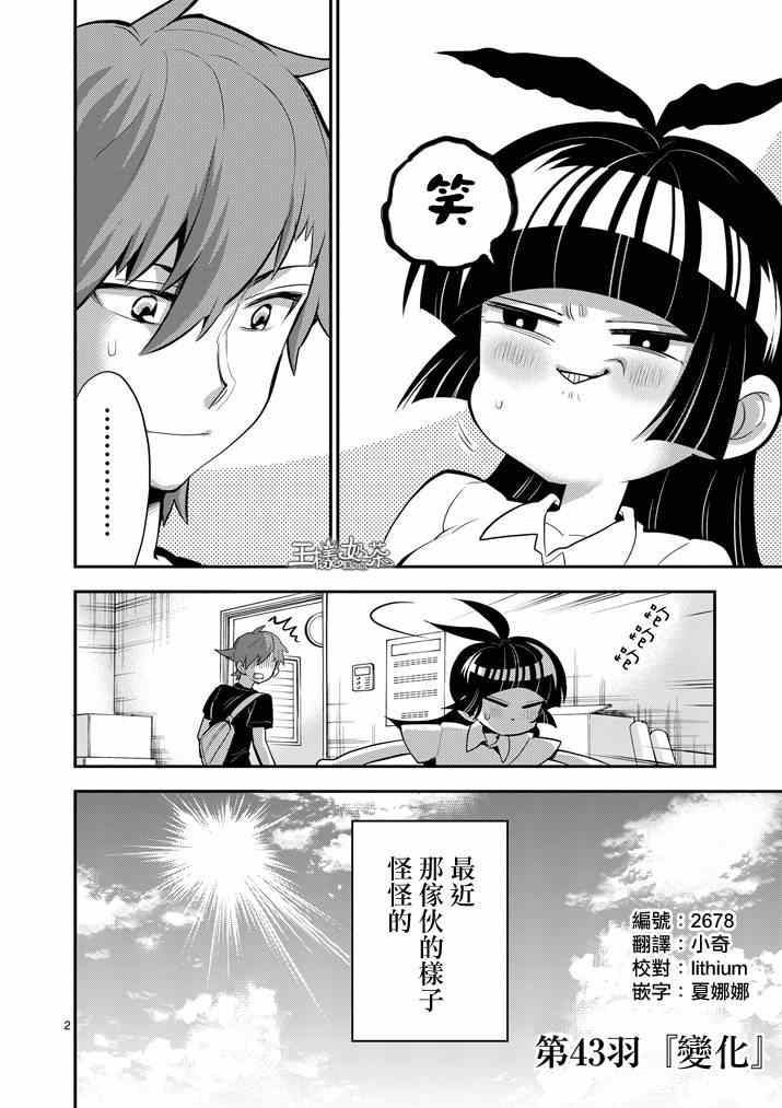 《少女猛禽》漫画 043集