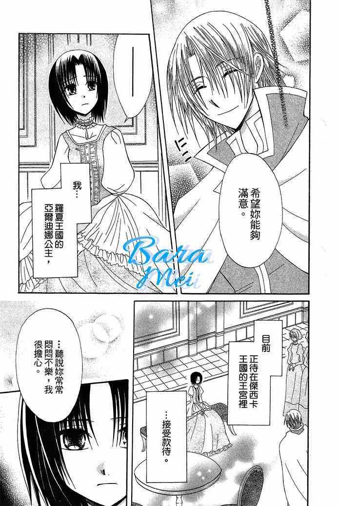 《神秘公主谜样王子》漫画 009集