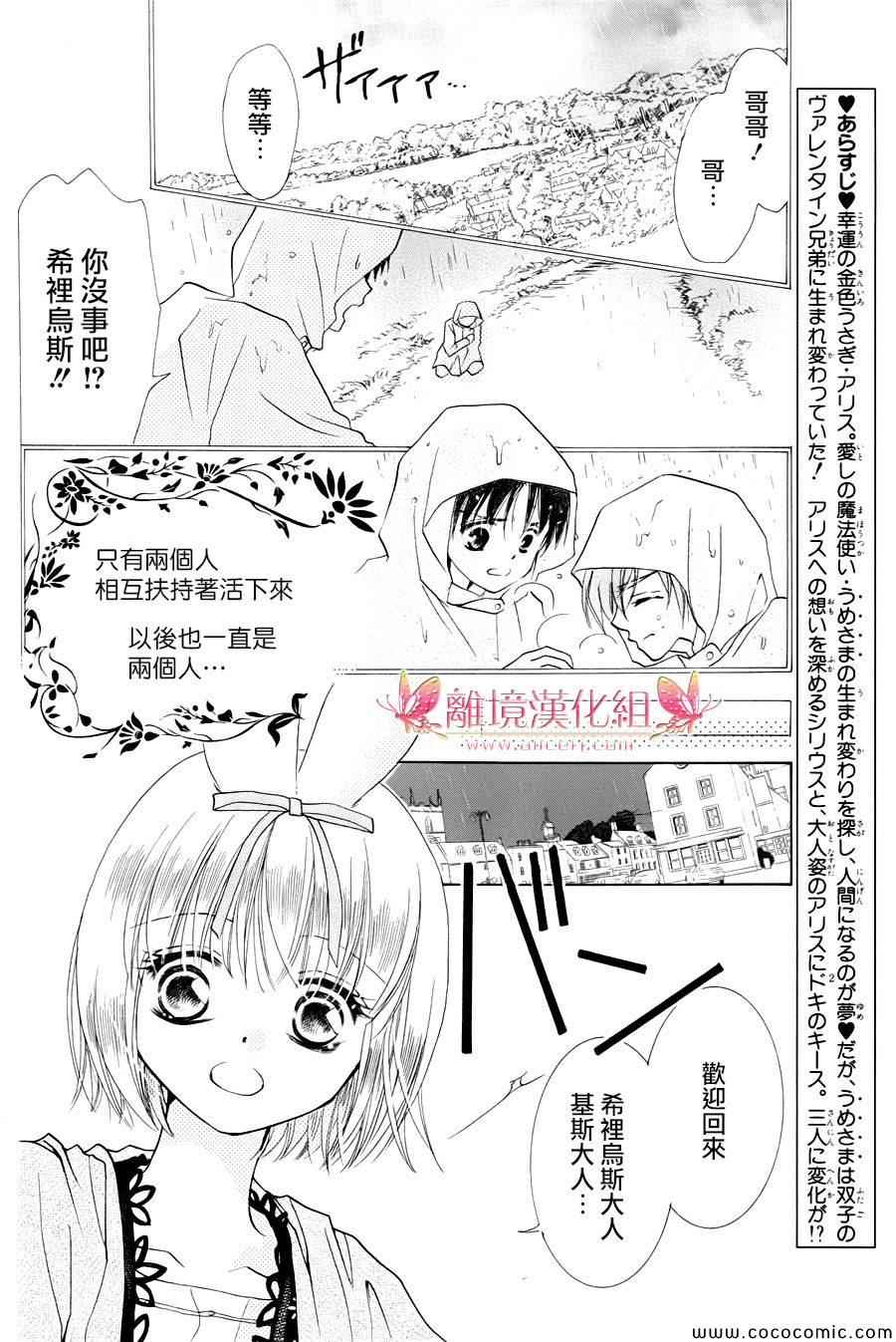 《兔子爱丽丝》漫画 005集