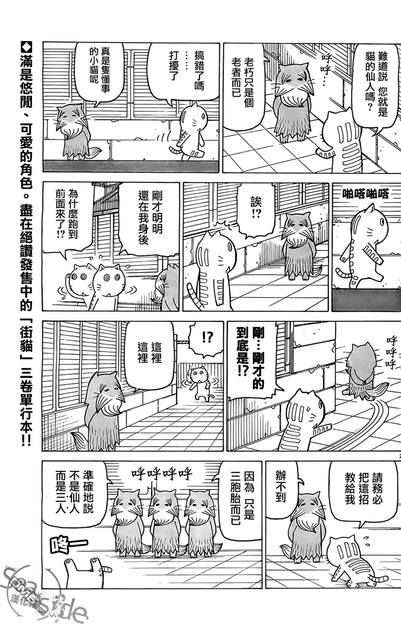 《我家的街猫》漫画  第262话