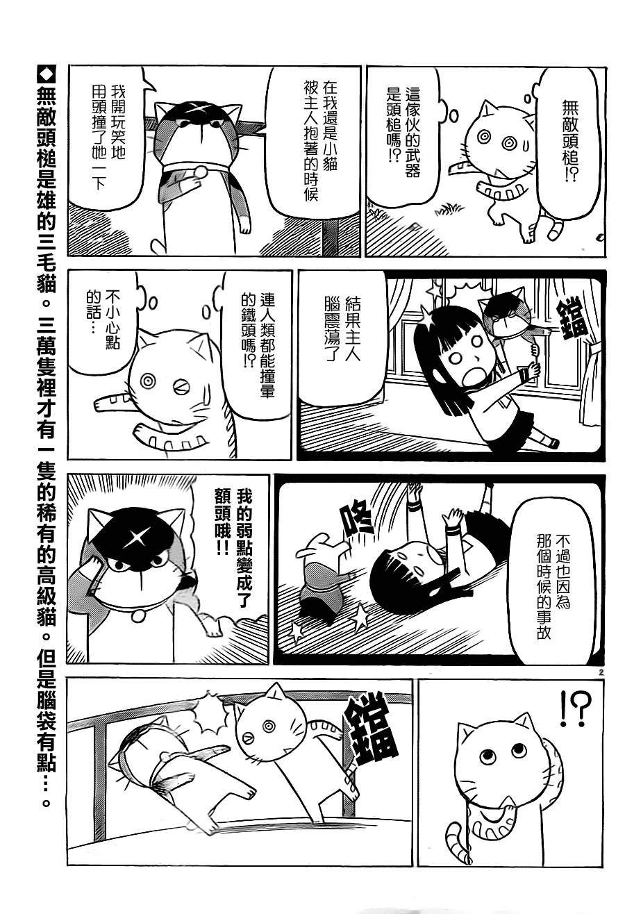 《我家的街猫》漫画 第290话