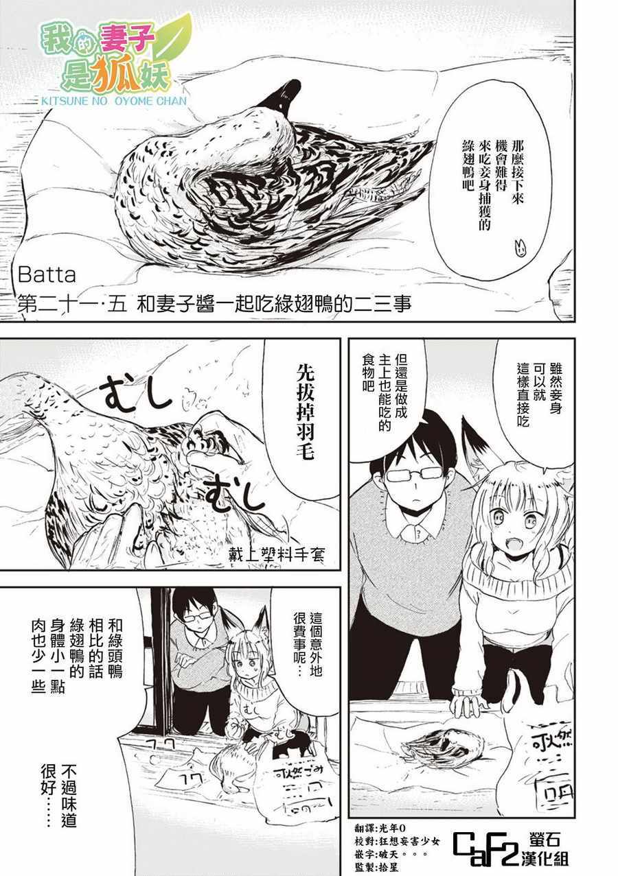 《我的妻子是狐妖》漫画 21.5话