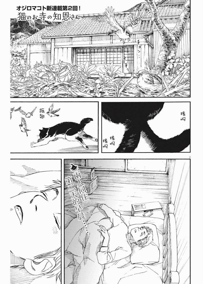 《猫之寺的知恩姐》漫画 002话
