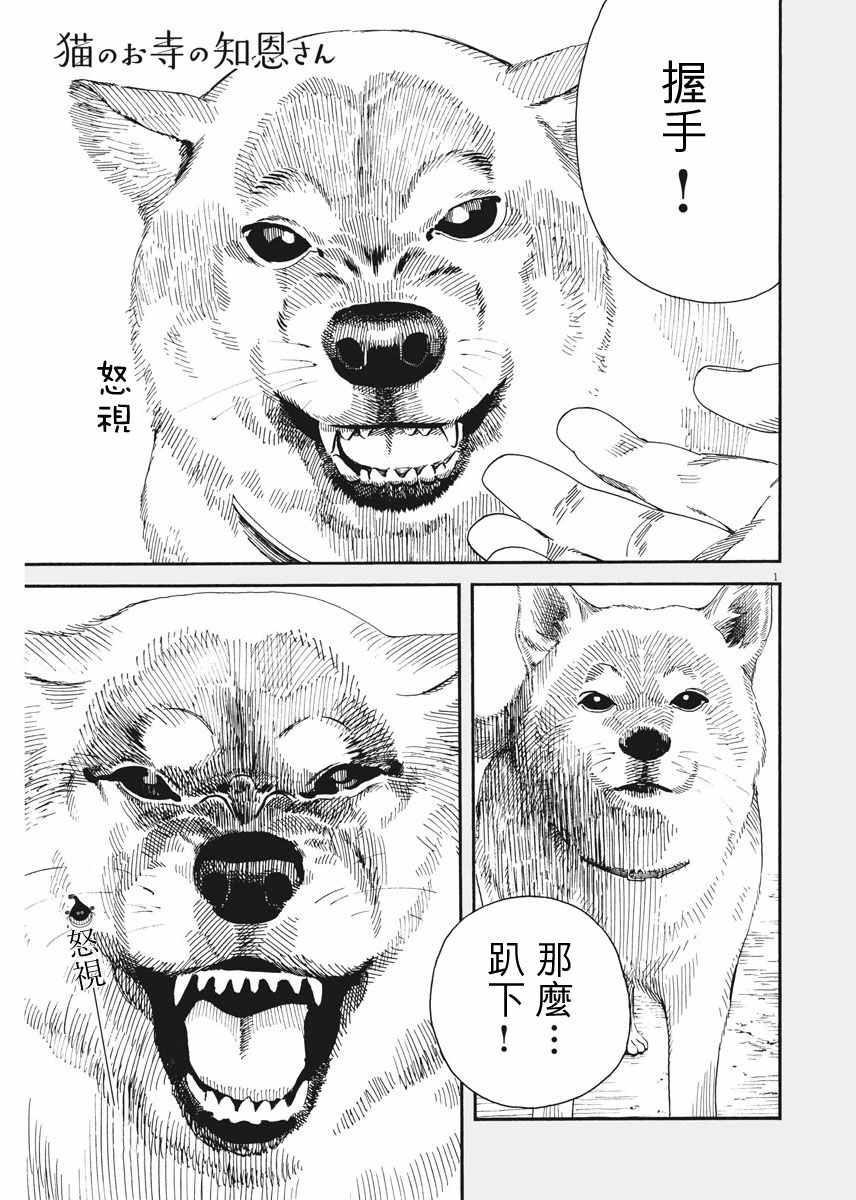 《猫之寺的知恩姐》漫画 004话