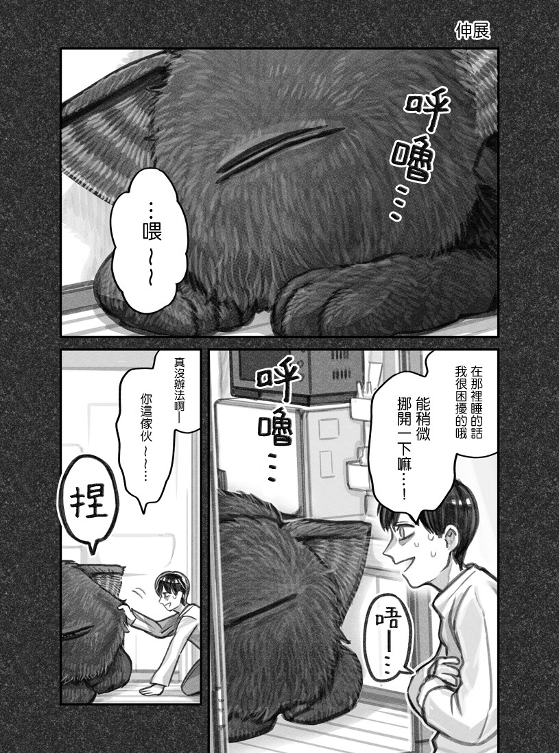 《我捡了一只猫》漫画 009集