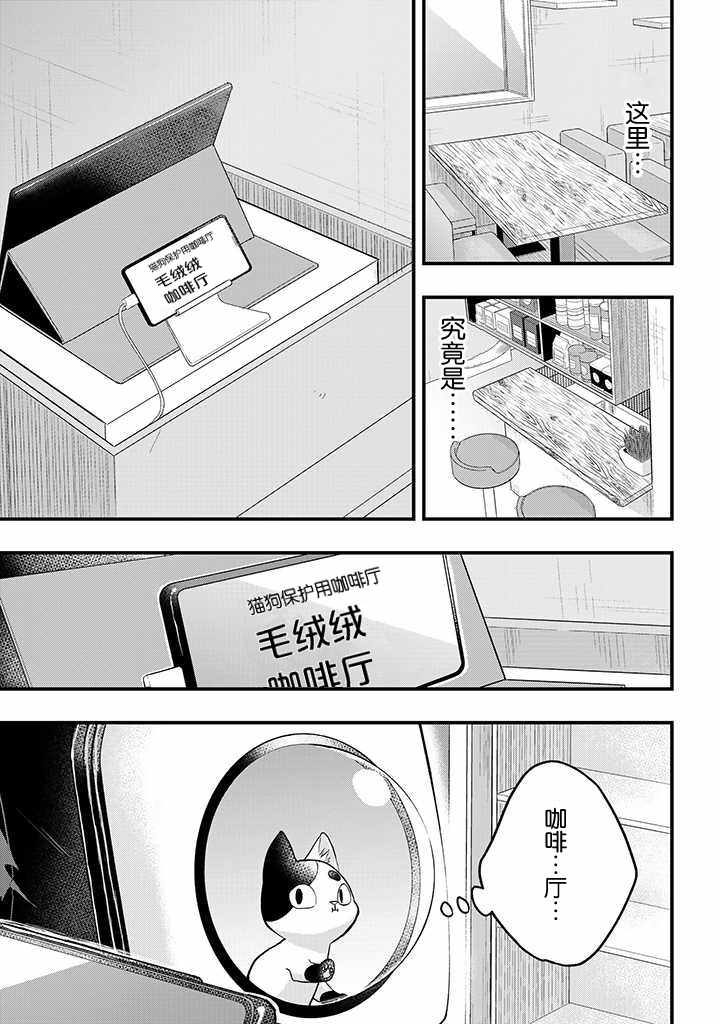 《被遗弃的小猫咪与原黑道》漫画 小猫咪与原黑道 008集