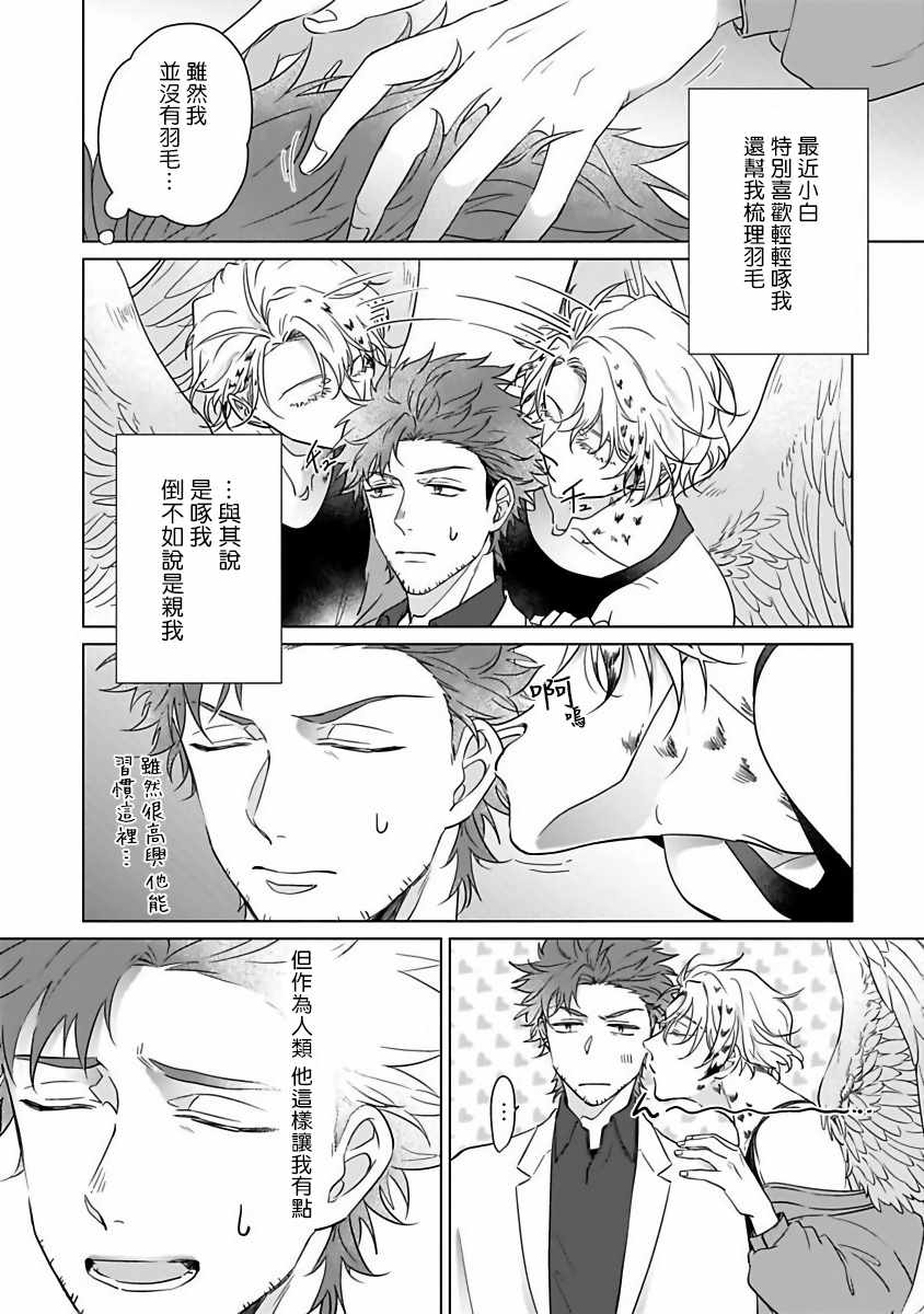 《猫头鹰的相思病》漫画 002集