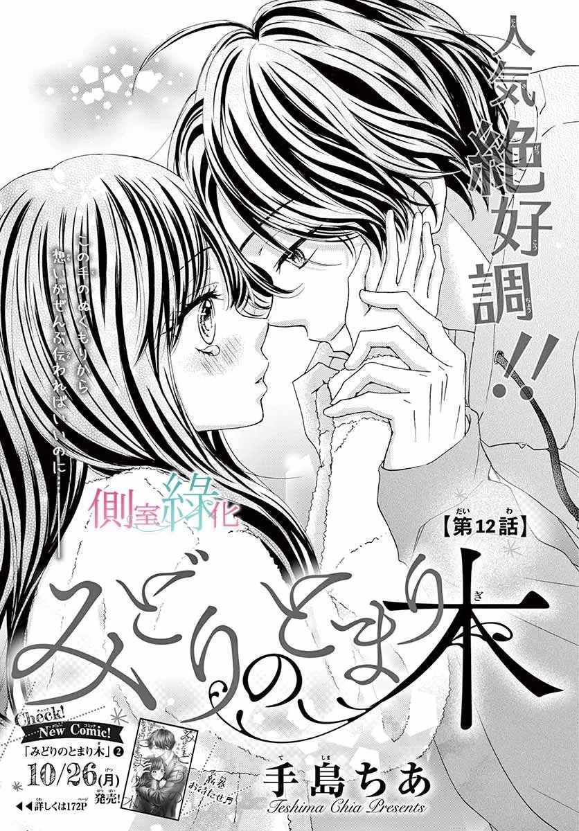 《绿的栖身之木》漫画 012集