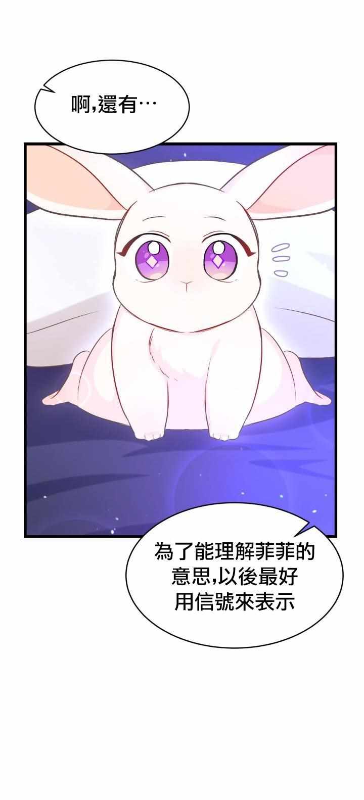 《兔子与黑豹的共生关系》漫画 兔子与黑豹 016集