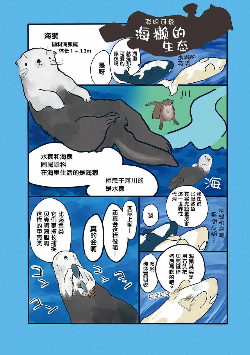 《海洋动物太可爱了!》漫画 005集