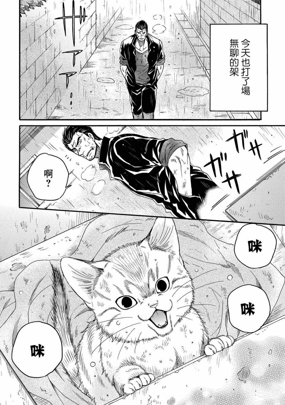 《世界铲屎男士图鑒》漫画 006集