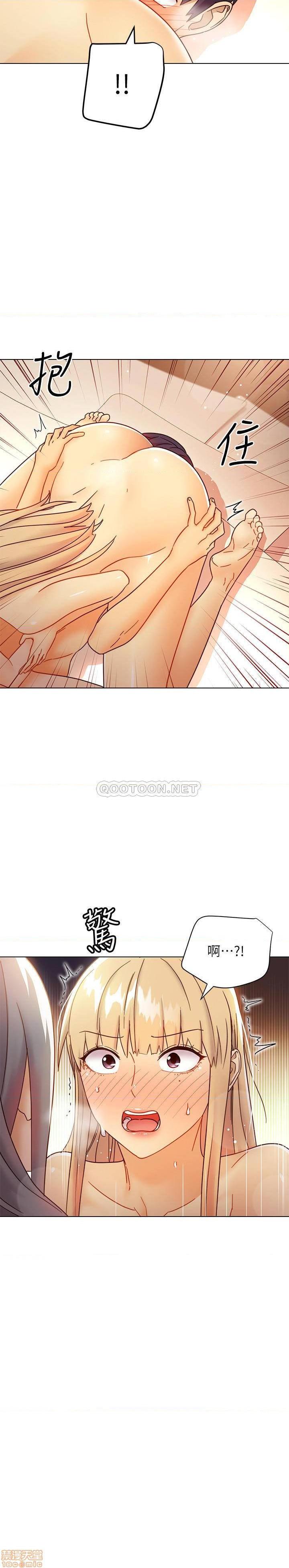 41.jpg