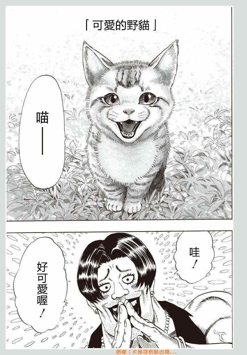 《一拳超人》漫画 可爱的野猫